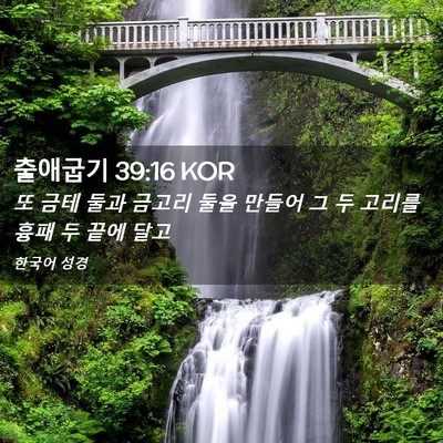 Picture 02 - 출애굽기 39:16 KOR - 또 금테 둘과 금고리 둘을 만들어 그 - Bible Verse Picture