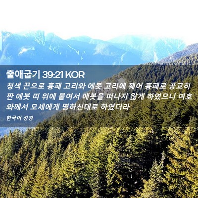 Picture 02 - 출애굽기 39:21 KOR - 청색 끈으로 흉패 고리와 에봇 - Bible Verse Picture