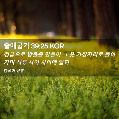 Picture 02 - 출애굽기 39:25 KOR - 정금으로 방울을 만들어 그 옷 - Bible Verse Picture