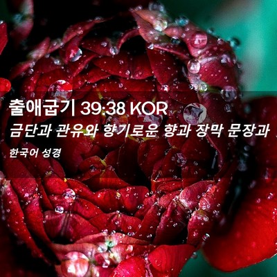 Picture 02 - 출애굽기 39:38 KOR - 금단과 관유와 향기로운 향과 장막 - Bible Verse Picture