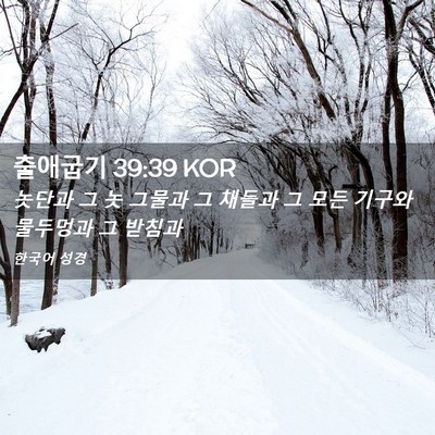 Picture 02 - 출애굽기 39:39 KOR - 놋단과 그 놋 그물과 그 채들과 그 - Bible Verse Picture