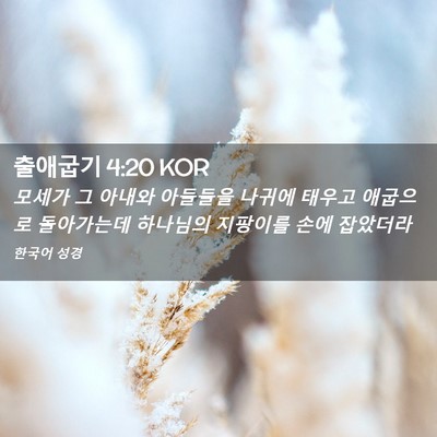 Picture 02 - 출애굽기 4:20 KOR - 모세가 그 아내와 아들들을 나귀에 - Bible Verse Picture