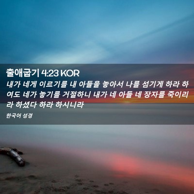 Picture 02 - 출애굽기 4:23 KOR - 내가 네게 이르기를 내 아들을 - Bible Verse Picture