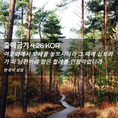 Picture 02 - 출애굽기 4:26 KOR - 여호와께서 모세를 놓으시니라 그 - Bible Verse Picture