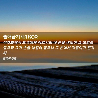 Picture 02 - 출애굽기 4:4 KOR - 여호와께서 모세에게 이르시되 네 - Bible Verse Picture