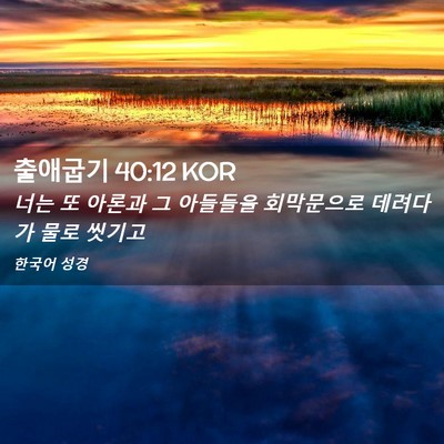 Picture 02 - 출애굽기 40:12 KOR - 너는 또 아론과 그 아들들을 - Bible Verse Picture