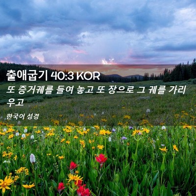 Picture 02 - 출애굽기 40:3 KOR - 또 증거궤를 들여 놓고 또 장으로 그 - Bible Verse Picture