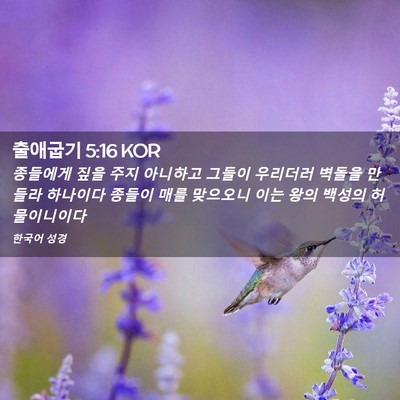 Picture 02 - 출애굽기 5:16 KOR - 종들에게 짚을 주지 아니하고 그들이 - Bible Verse Picture