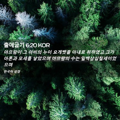 Picture 02 - 출애굽기 6:20 KOR - 아므람이 그 아비의 누이 요게벳을 - Bible Verse Picture