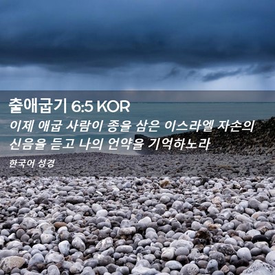 Picture 02 - 출애굽기 6:5 KOR - 이제 애굽 사람이 종을 삼은 - Bible Verse Picture