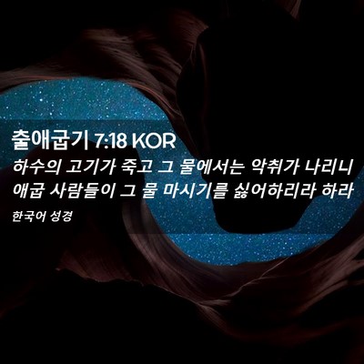 Picture 02 - 출애굽기 7:18 KOR - 하수의 고기가 죽고 그 물에서는 - Bible Verse Picture