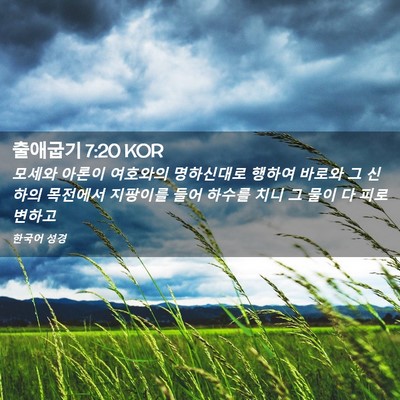 Picture 02 - 출애굽기 7:20 KOR - 모세와 아론이 여호와의 명하신대로 - Bible Verse Picture