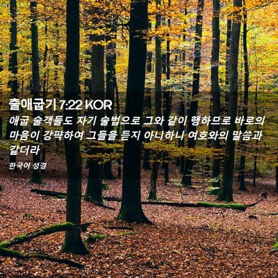 Picture 02 - 출애굽기 7:22 KOR - 애굽 술객들도 자기 술법으로 그와 - Bible Verse Picture