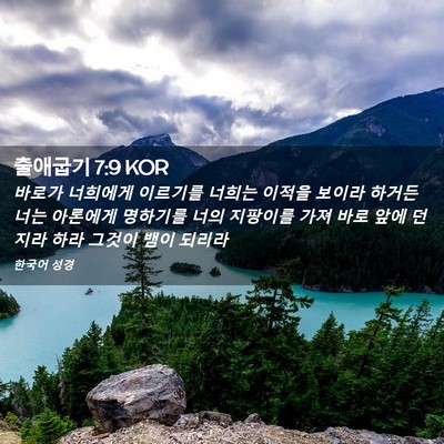 Picture 02 - 출애굽기 7:9 KOR - 바로가 너희에게 이르기를 너희는 - Bible Verse Picture