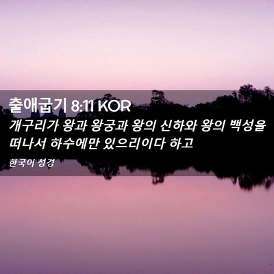 Picture 02 - 출애굽기 8:11 KOR - 개구리가 왕과 왕궁과 왕의 신하와 - Bible Verse Picture