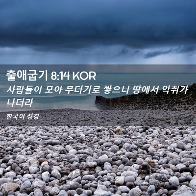 Picture 02 - 출애굽기 8:14 KOR - 사람들이 모아 무더기로 쌓으니 - Bible Verse Picture