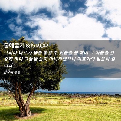 Picture 02 - 출애굽기 8:15 KOR - 그러나 바로가 숨을 통할 수 있음을 - Bible Verse Picture