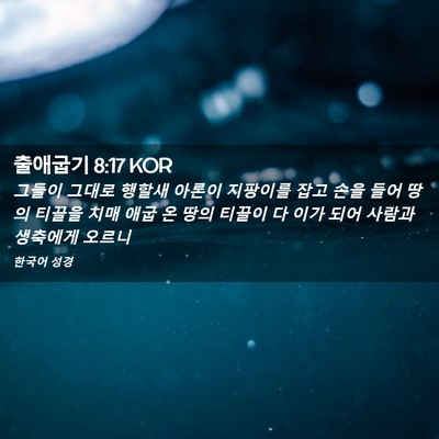 Picture 02 - 출애굽기 8:17 KOR - 그들이 그대로 행할새 아론이 - Bible Verse Picture