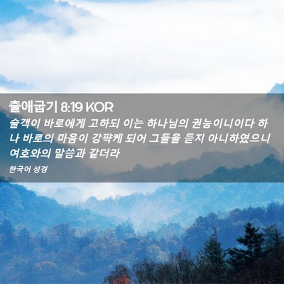 Picture 02 - 출애굽기 8:19 KOR - 술객이 바로에게 고하되 이는 - Bible Verse Picture