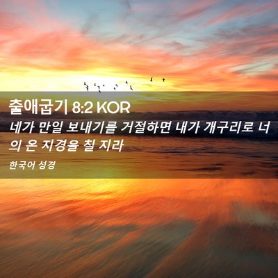 Picture 02 - 출애굽기 8:2 KOR - 네가 만일 보내기를 거절하면 내가 - Bible Verse Picture