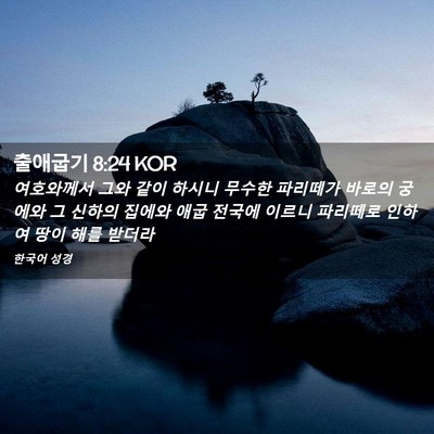 Picture 02 - 출애굽기 8:24 KOR - 여호와께서 그와 같이 하시니 무수한 - Bible Verse Picture