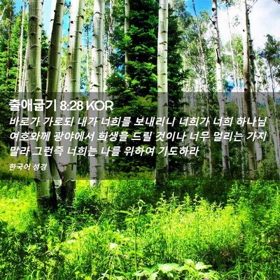 Picture 02 - 출애굽기 8:28 KOR - 바로가 가로되 내가 너희를 보내리니 - Bible Verse Picture
