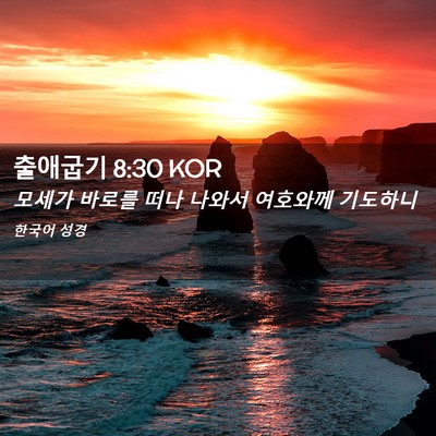 Picture 02 - 출애굽기 8:30 KOR - 모세가 바로를 떠나 나와서 여호와께 - Bible Verse Picture