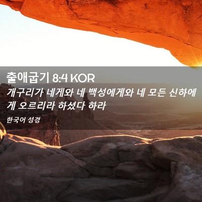 Picture 02 - 출애굽기 8:4 KOR - 개구리가 네게와 네 백성에게와 네 - Bible Verse Picture