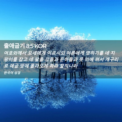 Picture 02 - 출애굽기 8:5 KOR - 여호와께서 모세에게 이르시되 - Bible Verse Picture