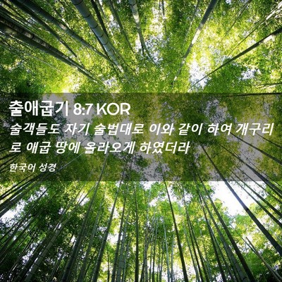 Picture 02 - 출애굽기 8:7 KOR - 술객들도 자기 술법대로 이와 같이 - Bible Verse Picture