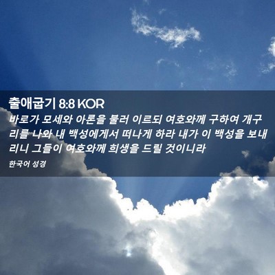 Picture 02 - 출애굽기 8:8 KOR - 바로가 모세와 아론을 불러 이르되 - Bible Verse Picture
