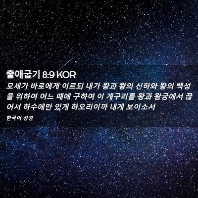 Picture 02 - 출애굽기 8:9 KOR - 모세가 바로에게 이르되 내가 왕과 - Bible Verse Picture