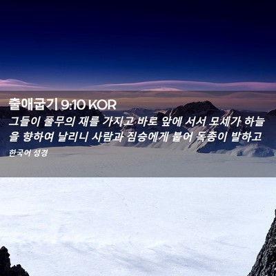 Picture 02 - 출애굽기 9:10 KOR - 그들이 풀무의 재를 가지고 바로 - Bible Verse Picture