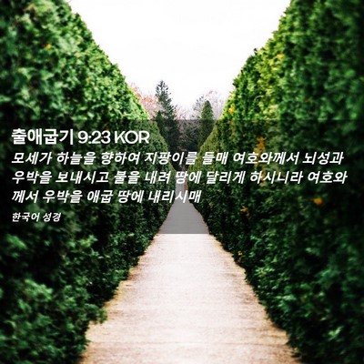 Picture 02 - 출애굽기 9:23 KOR - 모세가 하늘을 향하여 지팡이를 들매 - Bible Verse Picture