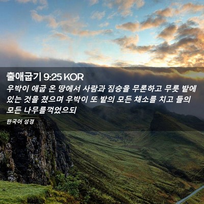 Picture 02 - 출애굽기 9:25 KOR - 우박이 애굽 온 땅에서 사람과 - Bible Verse Picture