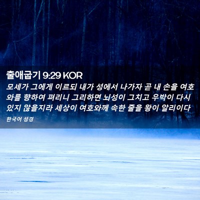 Picture 02 - 출애굽기 9:29 KOR - 모세가 그에게 이르되 내가 성에서 - Bible Verse Picture