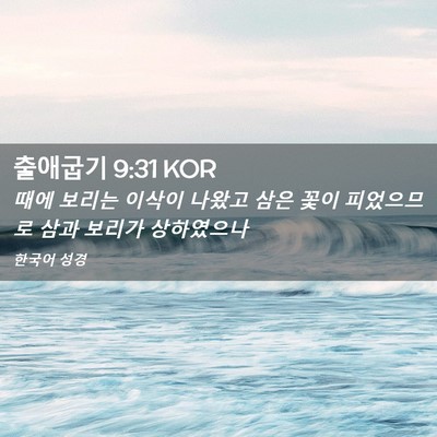 Picture 02 - 출애굽기 9:31 KOR - 때에 보리는 이삭이 나왔고 삼은 - Bible Verse Picture