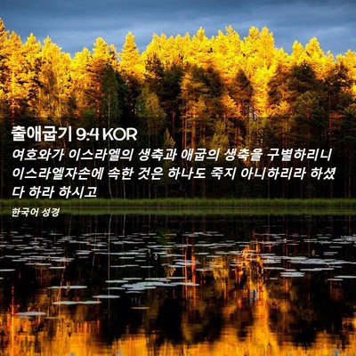 Picture 02 - 출애굽기 9:4 KOR - 여호와가 이스라엘의 생축과 애굽의 - Bible Verse Picture
