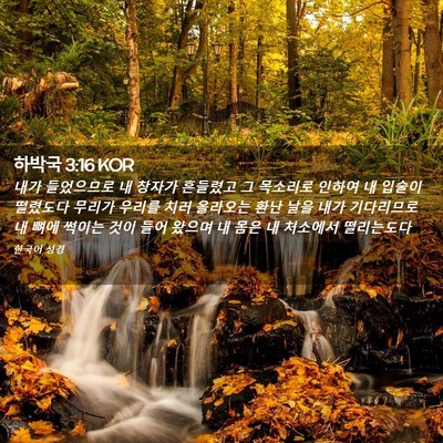 Picture 02 - 하박국 3:16 KOR - 내가 들었으므로 내 창자가 흔들렸고 - Bible Verse Picture