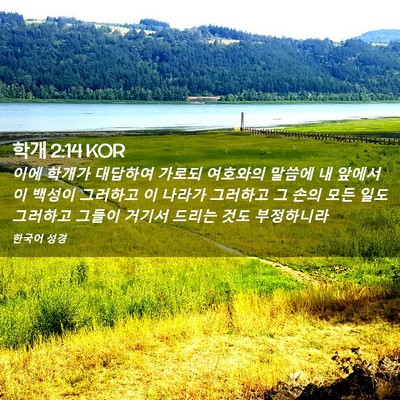 Picture 02 - 학개 2:14 KOR - 이에 학개가 대답하여 가로되 - Bible Verse Picture