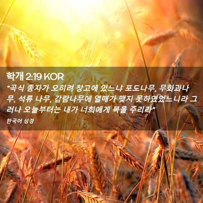 Picture 02 - 학개 2:19 KOR - 