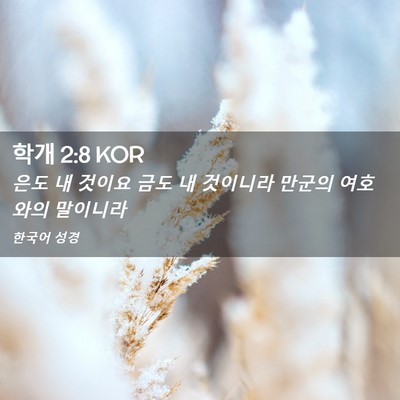 Picture 02 - 학개 2:8 KOR - 은도 내 것이요 금도 내 것이니라 - Bible Verse Picture