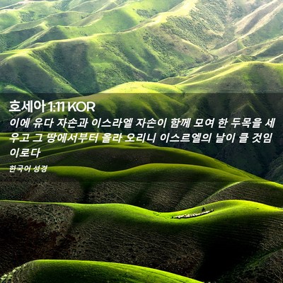 Picture 02 - 호세아 1:11 KOR - 이에 유다 자손과 이스라엘 자손이 - Bible Verse Picture