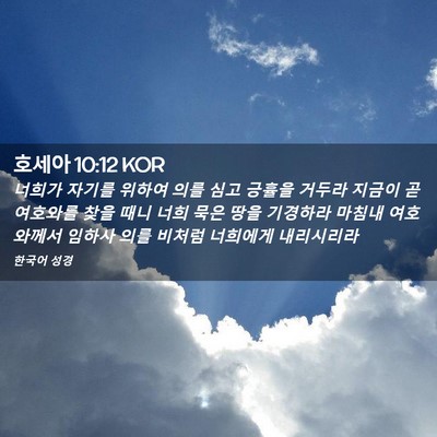 Picture 02 - 호세아 10:12 KOR - 너희가 자기를 위하여 의를 심고 - Bible Verse Picture