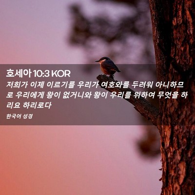 Picture 02 - 호세아 10:3 KOR - 저희가 이제 이르기를 우리가 - Bible Verse Picture