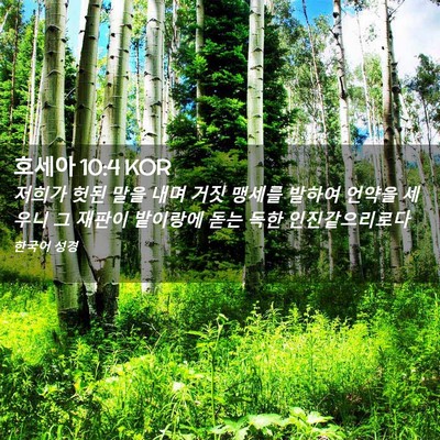 Picture 02 - 호세아 10:4 KOR - 저희가 헛된 말을 내며 거짓 맹세를 - Bible Verse Picture