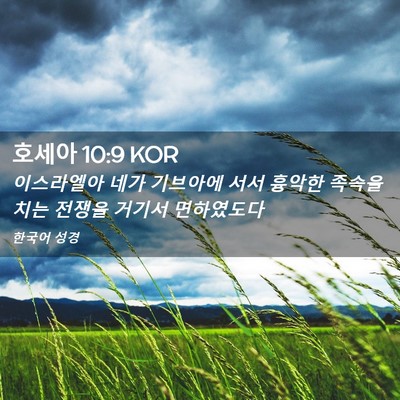 Picture 02 - 호세아 10:9 KOR - 이스라엘아 네가 기브아에 서서 - Bible Verse Picture