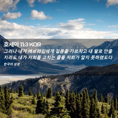 Picture 02 - 호세아 11:3 KOR - 그러나 내가 에브라임에게 걸음을 - Bible Verse Picture