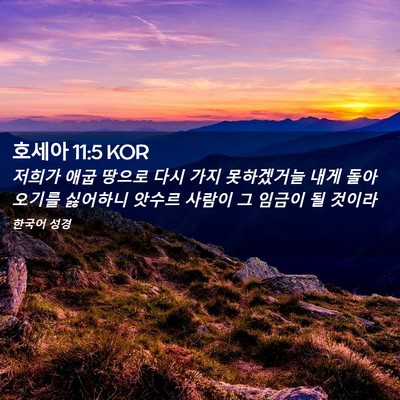 Picture 02 - 호세아 11:5 KOR - 저희가 애굽 땅으로 다시 가지 - Bible Verse Picture