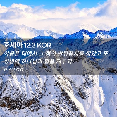 Picture 02 - 호세아 12:3 KOR - 야곱은 태에서 그 형의 발뒤꿈치를 - Bible Verse Picture